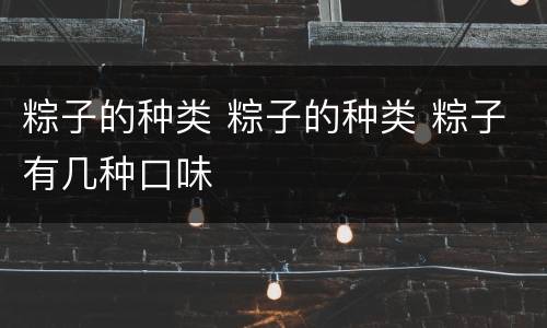 粽子的种类 粽子的种类 粽子有几种口味