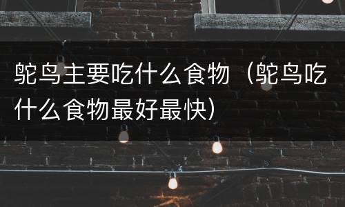 鸵鸟主要吃什么食物（鸵鸟吃什么食物最好最快）
