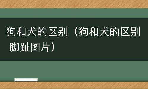 狗和犬的区别（狗和犬的区别 脚趾图片）