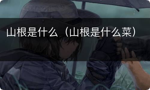 山根是什么（山根是什么菜）