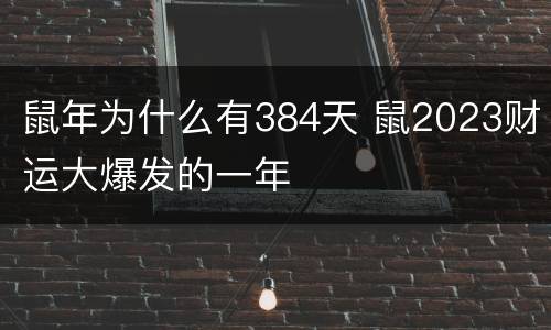 鼠年为什么有384天 鼠2023财运大爆发的一年