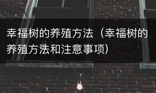 幸福树的养殖方法（幸福树的养殖方法和注意事项）