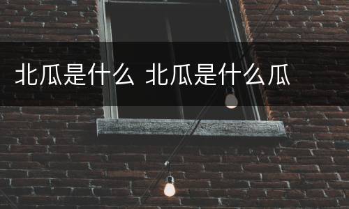 北瓜是什么 北瓜是什么瓜