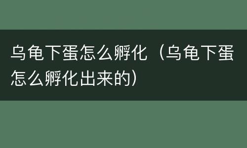 乌龟下蛋怎么孵化（乌龟下蛋怎么孵化出来的）
