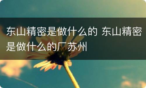 东山精密是做什么的 东山精密是做什么的厂苏州