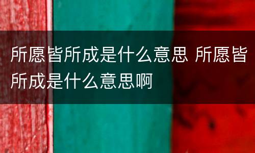 所愿皆所成是什么意思 所愿皆所成是什么意思啊