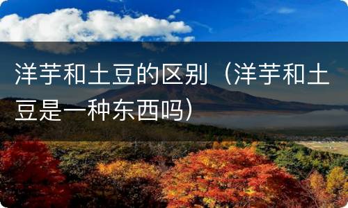 洋芋和土豆的区别（洋芋和土豆是一种东西吗）