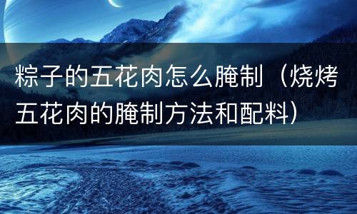 粽子的五花肉怎么腌制（烧烤五花肉的腌制方法和配料）