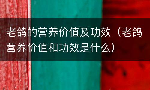 老鸽的营养价值及功效（老鸽营养价值和功效是什么）