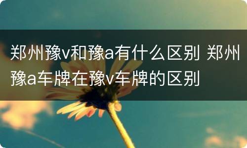郑州豫v和豫a有什么区别 郑州豫a车牌在豫v车牌的区别