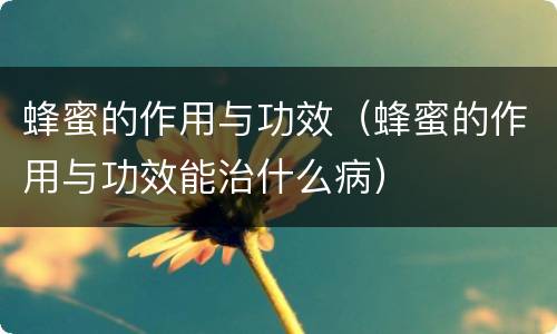 蜂蜜的作用与功效（蜂蜜的作用与功效能治什么病）