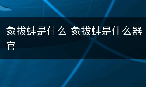 象拔蚌是什么 象拔蚌是什么器官