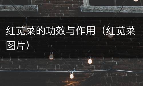红苋菜的功效与作用（红苋菜图片）