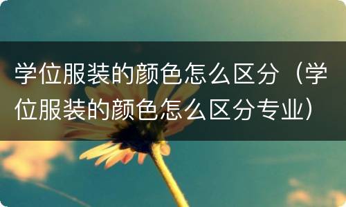 学位服装的颜色怎么区分（学位服装的颜色怎么区分专业）