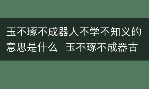 玉不琢不成器人不学不知义的意思是什么  玉不琢不成器古文翻译