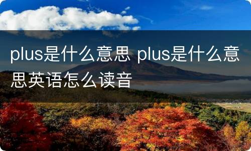 plus是什么意思 plus是什么意思英语怎么读音