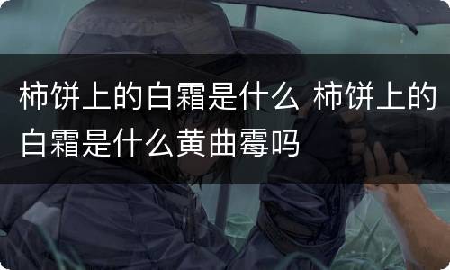 柿饼上的白霜是什么 柿饼上的白霜是什么黄曲霉吗