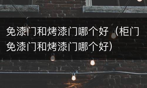 免漆门和烤漆门哪个好（柜门免漆门和烤漆门哪个好）