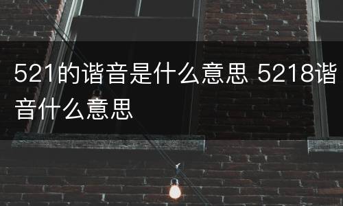 521的谐音是什么意思 5218谐音什么意思