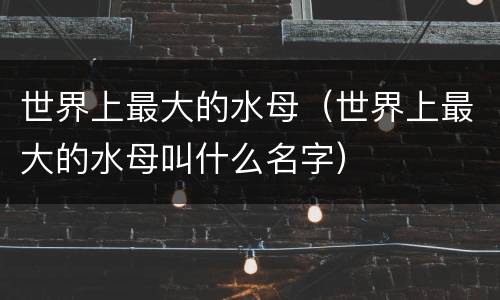 世界上最大的水母（世界上最大的水母叫什么名字）