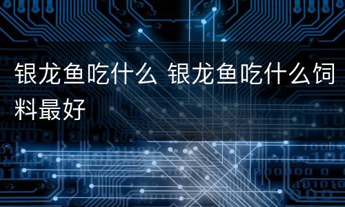 银龙鱼吃什么 银龙鱼吃什么饲料最好