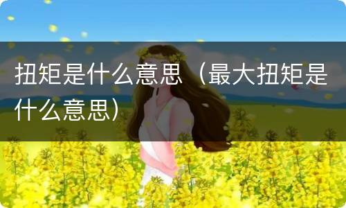 扭矩是什么意思（最大扭矩是什么意思）