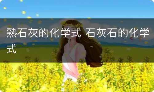 熟石灰的化学式 石灰石的化学式
