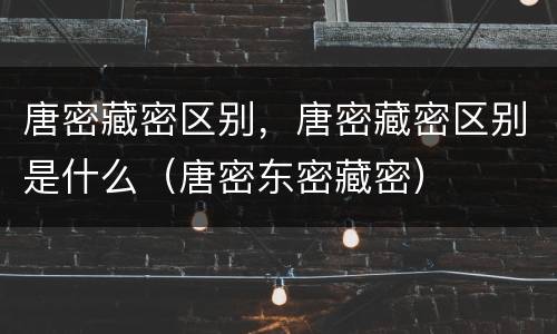 唐密藏密区别，唐密藏密区别是什么（唐密东密藏密）