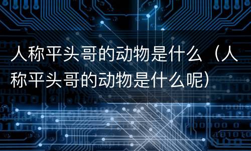 人称平头哥的动物是什么（人称平头哥的动物是什么呢）