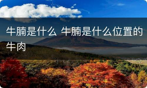 牛腩是什么 牛腩是什么位置的牛肉