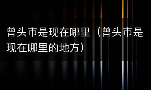 曾头市是现在哪里（曾头市是现在哪里的地方）