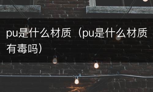 pu是什么材质（pu是什么材质有毒吗）