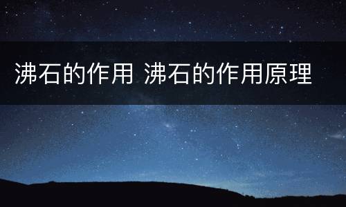 沸石的作用 沸石的作用原理