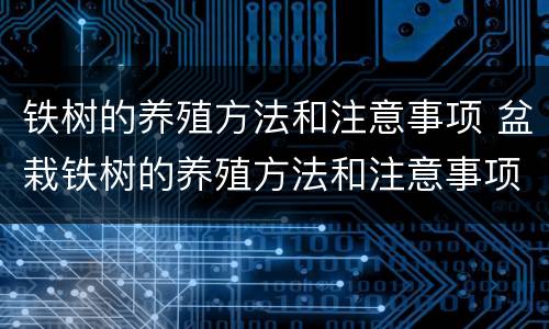 铁树的养殖方法和注意事项 盆栽铁树的养殖方法和注意事项