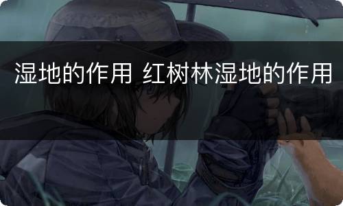 湿地的作用 红树林湿地的作用
