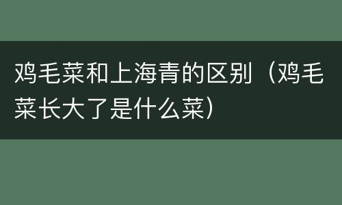 鸡毛菜和上海青的区别（鸡毛菜长大了是什么菜）
