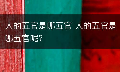 人的五官是哪五官 人的五官是哪五官呢?