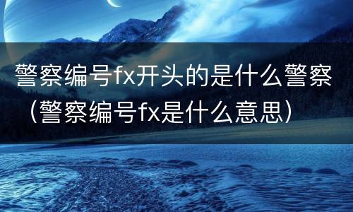 警察编号fx开头的是什么警察（警察编号fx是什么意思）