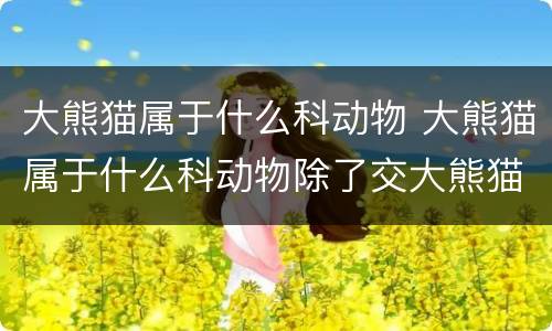 大熊猫属于什么科动物 大熊猫属于什么科动物除了交大熊猫它的又名叫啥