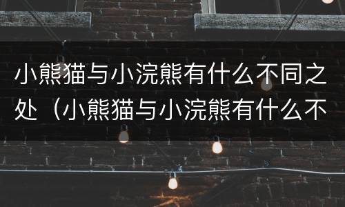 小熊猫与小浣熊有什么不同之处（小熊猫与小浣熊有什么不同之处呢）