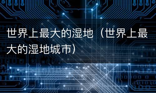 世界上最大的湿地（世界上最大的湿地城市）