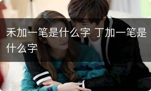 禾加一笔是什么字 丁加一笔是什么字
