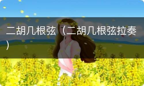 二胡几根弦（二胡几根弦拉奏）