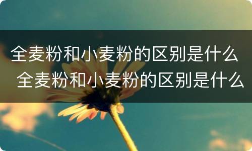 全麦粉和小麦粉的区别是什么 全麦粉和小麦粉的区别是什么百度百科