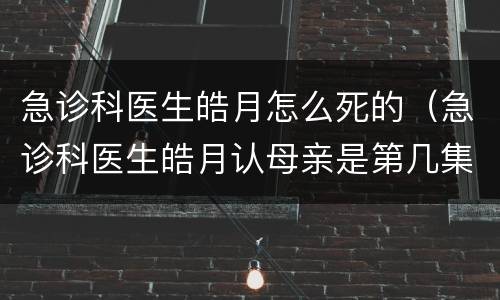 急诊科医生皓月怎么死的（急诊科医生皓月认母亲是第几集）