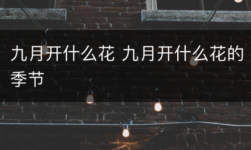 九月开什么花 九月开什么花的季节