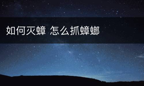 如何灭蟑 怎么抓蟑螂