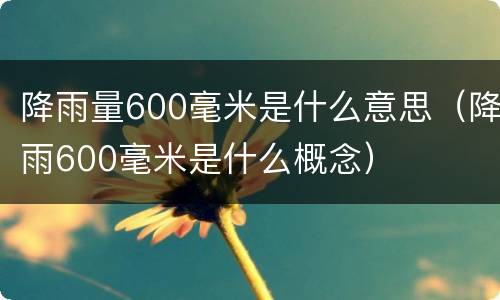 降雨量600毫米是什么意思（降雨600毫米是什么概念）