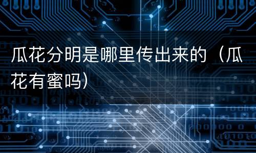 瓜花分明是哪里传出来的（瓜花有蜜吗）