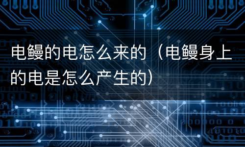 电鳗的电怎么来的（电鳗身上的电是怎么产生的）